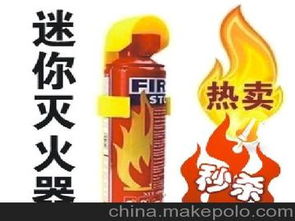 自制汽车灭火器多少钱