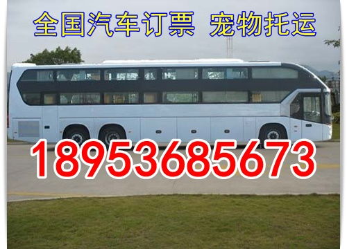 邹平到东营汽车多少钱