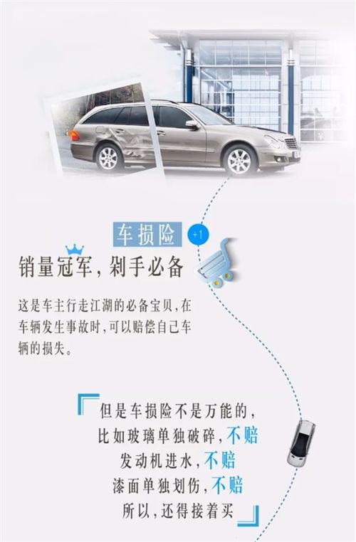 汽车全车保险需要多少钱