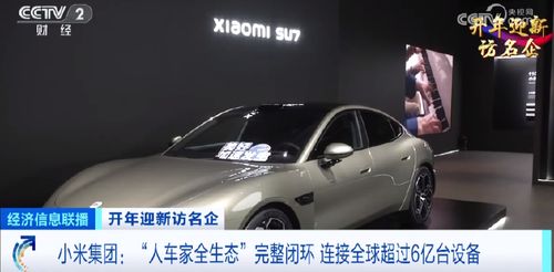 w丫e汽车多少钱