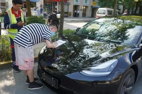 汽车美容贴拉花多少钱