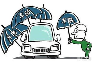 汽车保险哪些必须买多少钱
