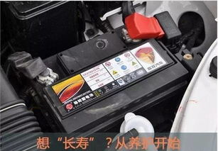 汽车电瓶价格相差多少