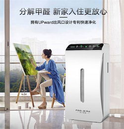 东阳汽车除甲醛多少钱