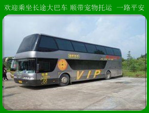 青阳慈溪汽车票多少钱