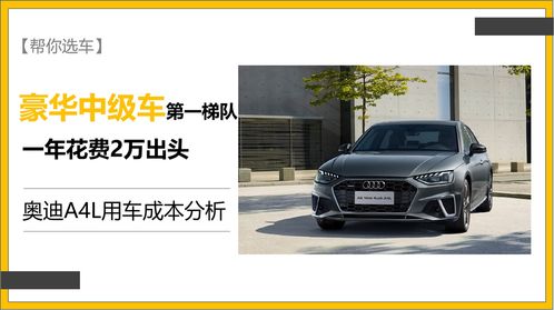 30年汽车使用成本多少