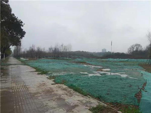 鄂州商务汽车进货价多少