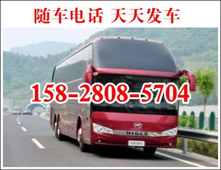 曲靖到成都汽车多少钱