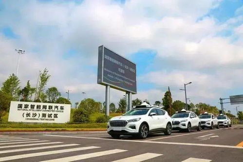长沙汽车回广州多少钱