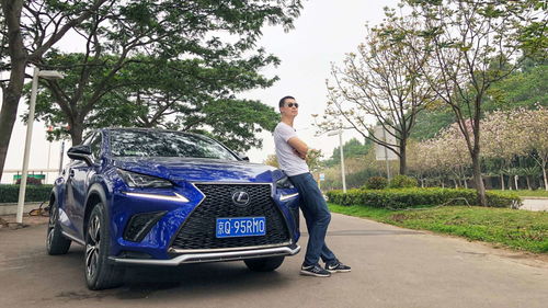 雷克萨斯rx300h报价,雷克萨斯rx300新款价格2021款