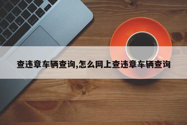 查违章车辆查询,怎么网上查违章车辆查询