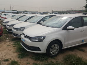 大众polo价格及图片,大众polo2021报价及图片