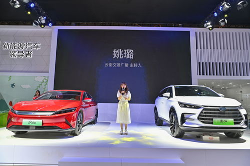 比亚迪新能源汽车价格表,比亚迪新能源汽车价格表图片