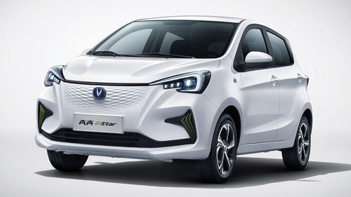 长安奔奔2021最新款,长安奔奔2021最新款图片大全