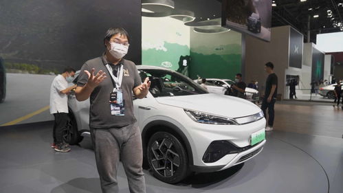 比亚迪全部车型,比亚迪全部车型是什么