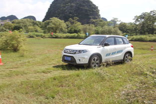 排第一名省油的车,排第一名省油的车国产品牌
