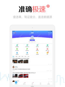 全国交通违章查询,全国交通违章查询系统官网手机版