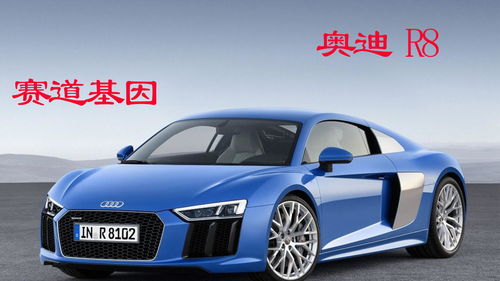 奥迪r8最新价格2021款,奥迪r8最新价格2021款绿色