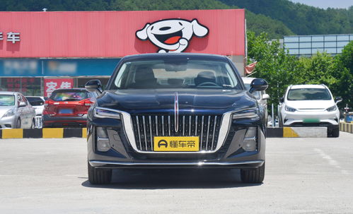 红旗10万一15万,红旗10万一15万suv
