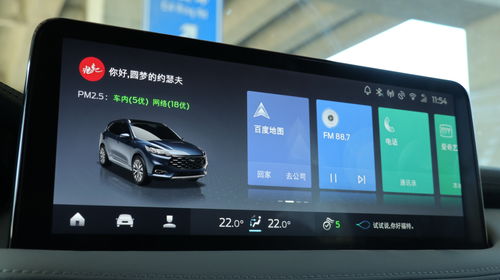 车牌号直接查违章系统,车牌号直接查违章系统可以查吗
