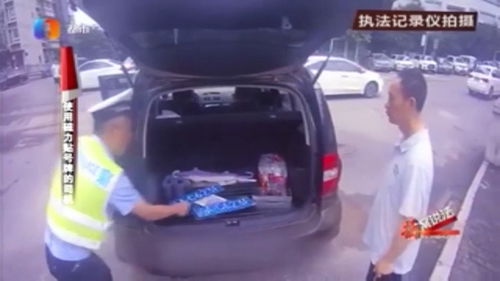 车辆违章查询直接输入车牌号,单位车辆违章查询直接输入车牌号