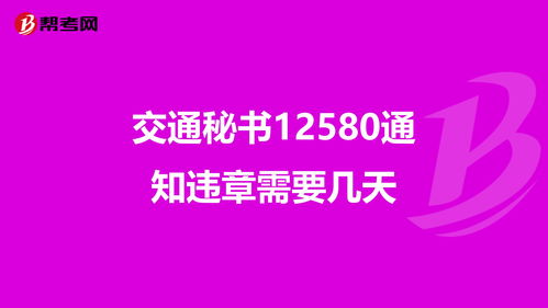 12580免费查违章,免费查违章平台