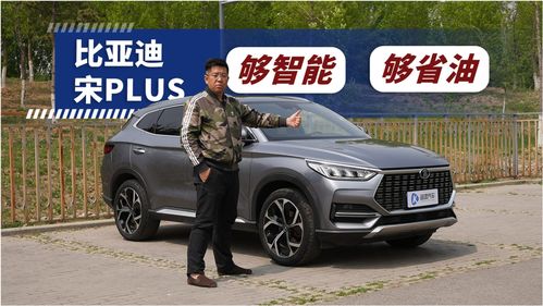 关于比亚迪suv车型的信息