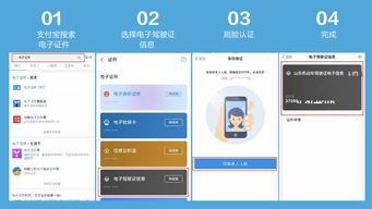 车辆信息查询网上查询,车辆 信息查询