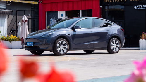 3万左右买什么车好新车,3万左右买什么车好新车自动挡