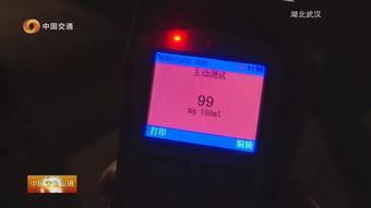 黑龙江交管局官网违章查询,黑龙江交通违章查询网上查询