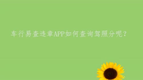 重庆车辆违章查询官网查询系统,重庆机动车辆违章查询