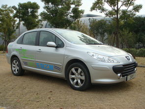 东风标致307汽车,东风标致307汽车故障灯标志图解