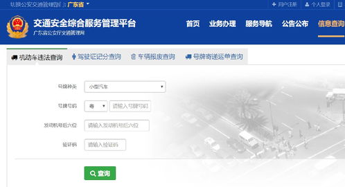 查交通违章记录,查交通违章记录打什么电话