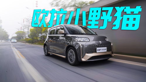 车价格大全10万以下的,车价格大全10万以下的车型
