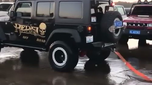 nissan属于什么档次,东风日产nissan价格