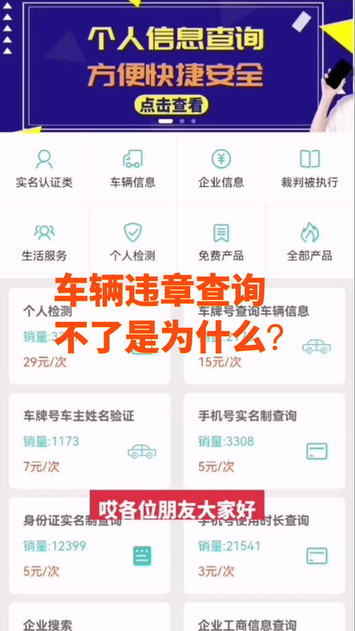 违章查询在线查询,电动车违章查询在线查询