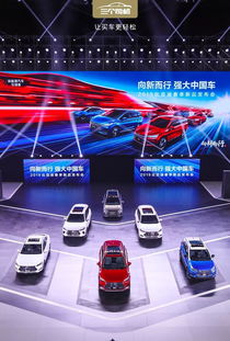 比亚迪最贵的车1200万,比亚迪最贵的车1200万是哪款