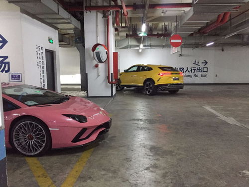 兰博基尼100万左右的车,兰博基尼100多万的车