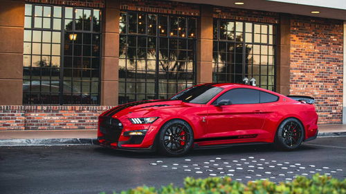 关于福特野马gt500眼镜蛇国内报价的信息