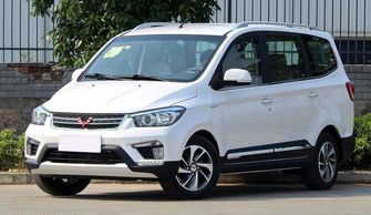 五菱宏光新款车,五菱宏光新款车图片