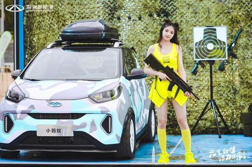 奇瑞小蚂蚁和五菱mini买哪个,五菱迷你电动车2023款价格