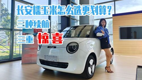 微型小轿车三万左右,三万微型车汽车
