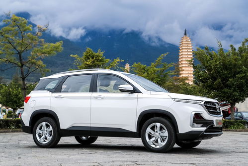 8万元左右口碑最好suv,8万元左右口碑最好车七座suv