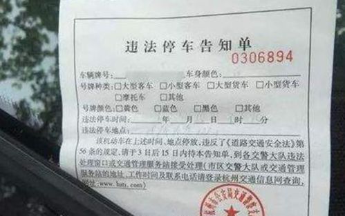 违章几天能查到,汽车违章几天能查到