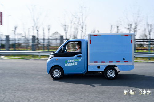3万左右的微型小货车,2万一3万新车皮卡