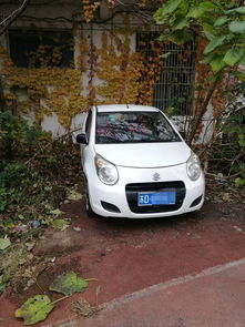 什么车便宜又省油又好用,什么车便宜又省油又好用新车