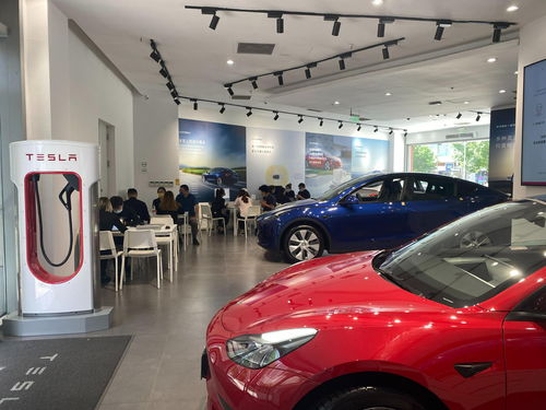 新能源女士迷你小轿车,10万内最好电动汽车