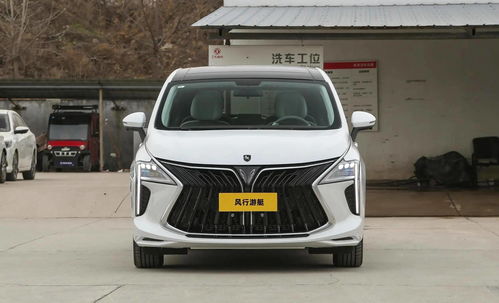 东风风行2023款,东风风行2023款菱智