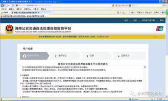 交通违章查询处理,交通违章查询处理电话
