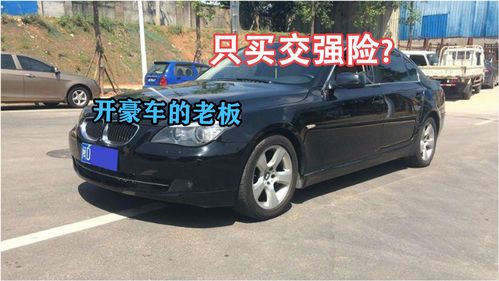 为什么开野马的都卖了,野马为什么有钱人不开